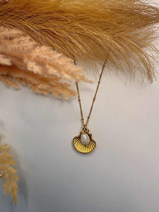 Concha Necklace