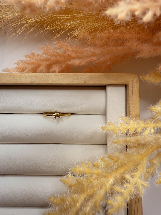 Salt & Gold Ring